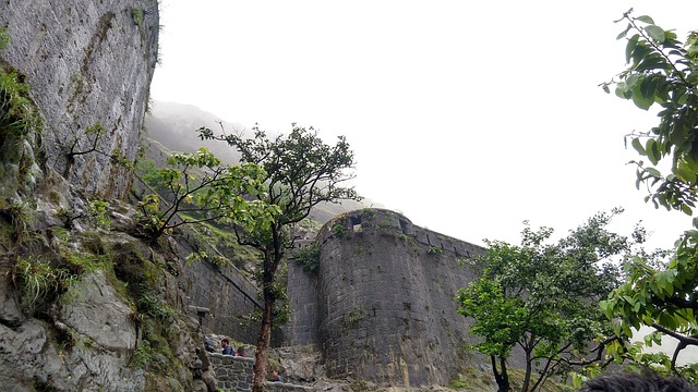 Free Fort Trek photo and picture