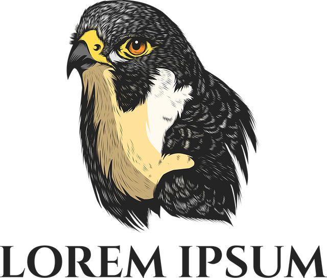 Adler, Falke, Vogel, Natur, Tierwelt