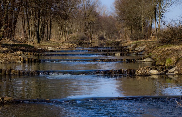 Free Flow Riparian Zone photo and picture