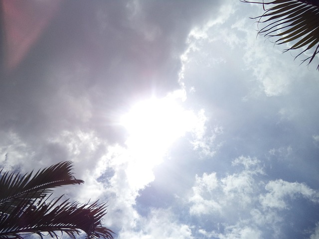 Free Sky Clouds photo and picture