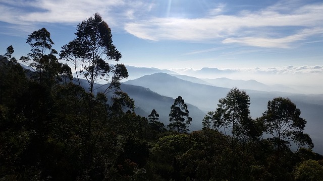 Free Outlook Sunrise photo and picture
