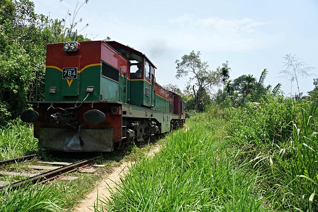 Free Locomotive Sri Lanka photo and picture