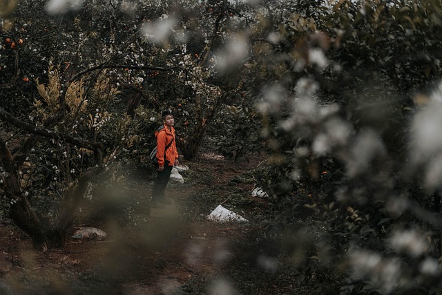 Hombre, Árboles, Bosque, Masculino