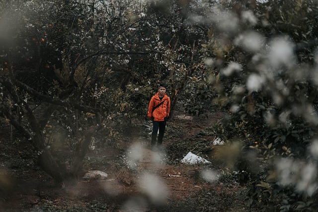 Hombre, Árboles, Bosque, Masculino