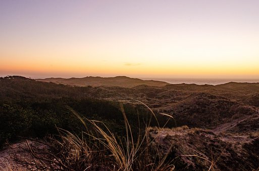 Free Beach Plains photo and picture