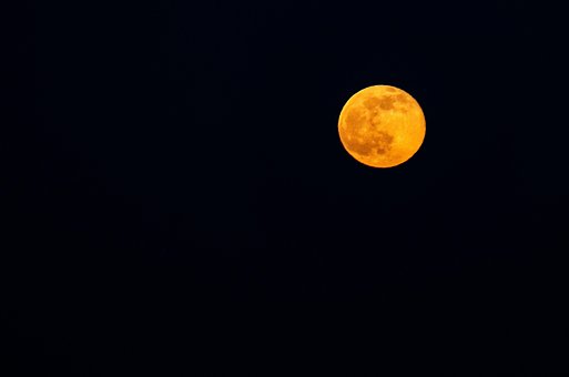 Free Moon Night photo and picture