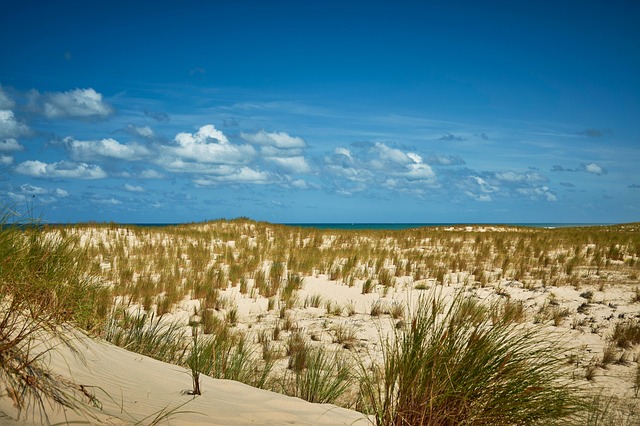Free Beach Sand photo and picture