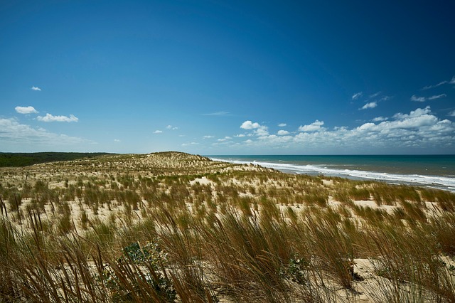Free Beach Sand photo and picture