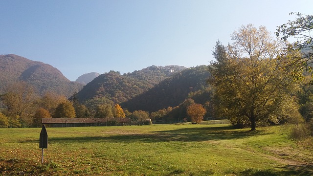 Natuur, Groente, Milieu, Bomen, Lucht