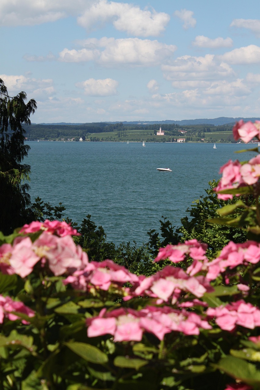 Blumen See Aussichtspunkt Pinke Kostenloses Foto Auf Pixabay Pixabay Blumen See Aussichtspunkt Pinke Kostenloses Foto Auf Pixabay Pixabay