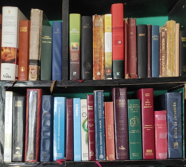Free Books Shelves photo and picture