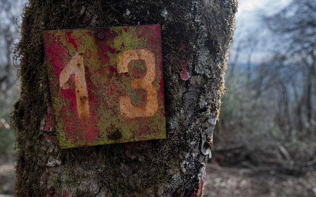 Free Thirteen Woe photo and picture