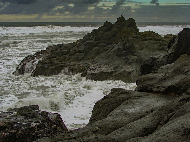 Free Seagull Rock photo and picture