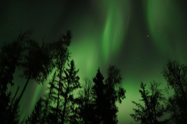 Free Northern Lights Alaska photo and picture