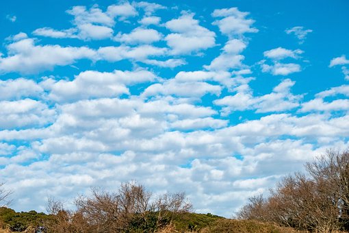 Cielo, Nube, Madera, Azul, Paisaje