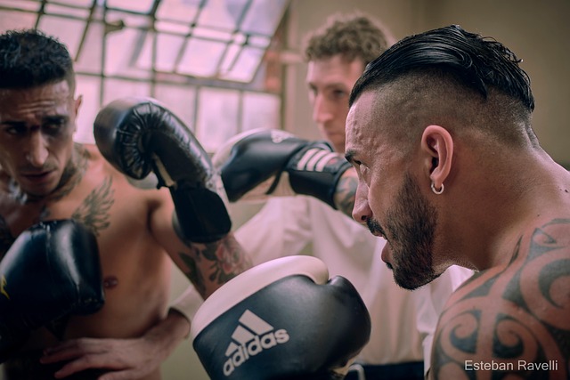 Free Box Boxeo photo and picture