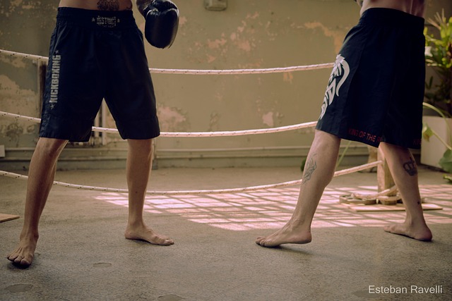 Free Box Boxeo photo and picture