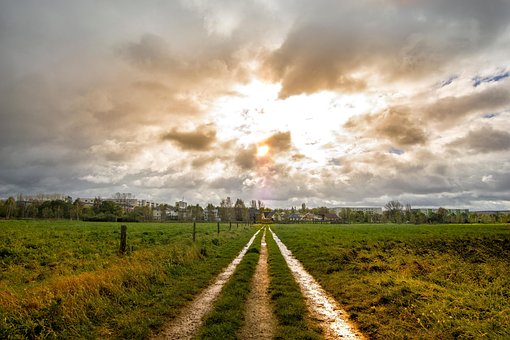 Free Fields Grass photo and picture