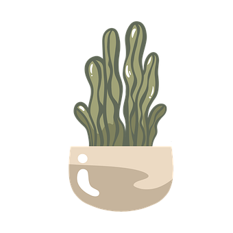 Free Plant Succulent illustration and picture