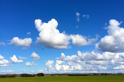 Free Summer Denmark photo and picture