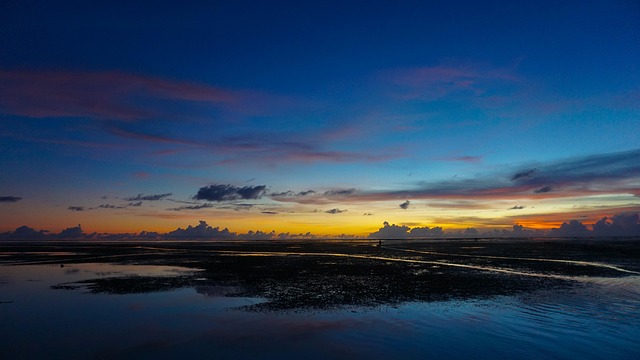 Free Beach Sunset photo and picture
