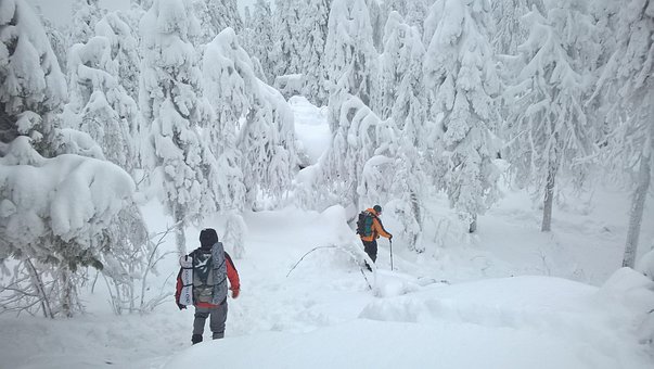 Free Snow People photo and picture