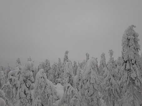 Free Snow Winter photo and picture