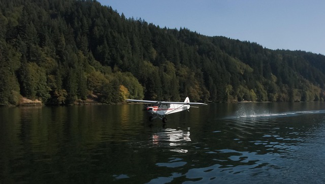 Free Aircraft Water photo and picture