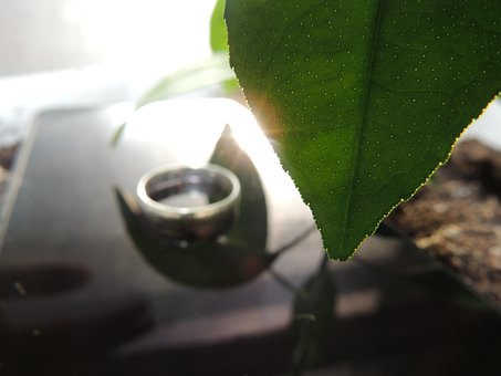 Free Sheet Ring photo and picture