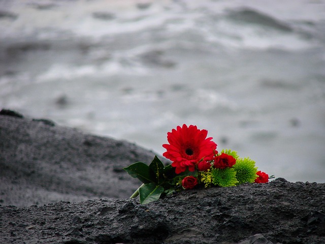 Free Sea Flowers photo and picture