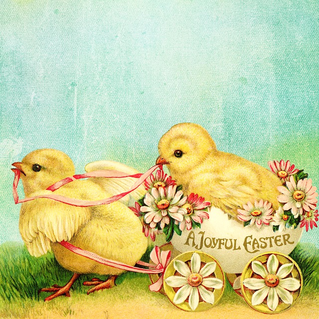 Free chickens chicks easter illustration