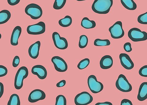 Free Background Animal illustration and picture