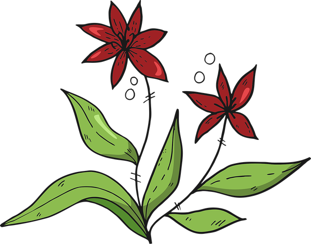 Download free HD stock image of Flowers Red Flowers Free flowers red flowers plants illustration