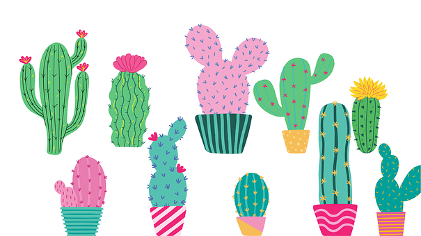 Cactus, Naturaleza, Cactus, Cactus