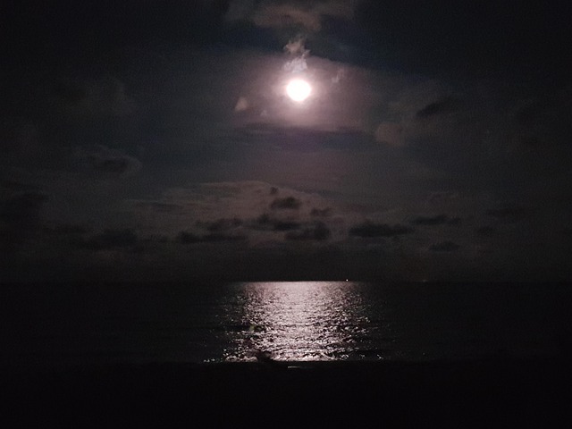 Lua Mar Noite - Foto gratuita no Pixabay - Pixabay