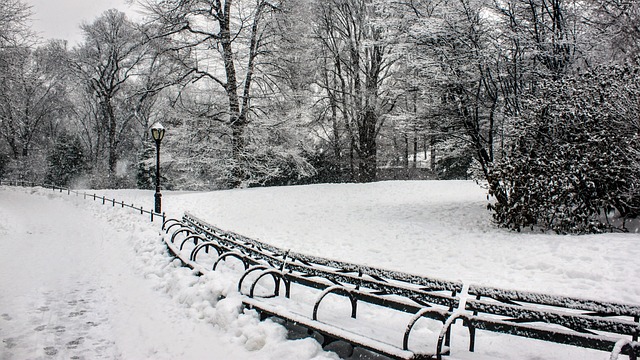 Free Path Snow photo and picture