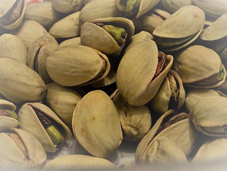 Free Pistachios Nuts photo and picture