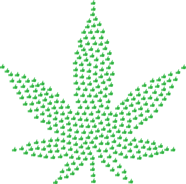 Free thumbs up leaf leaves vector