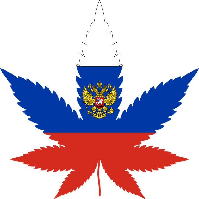 Free russia leaf country vector