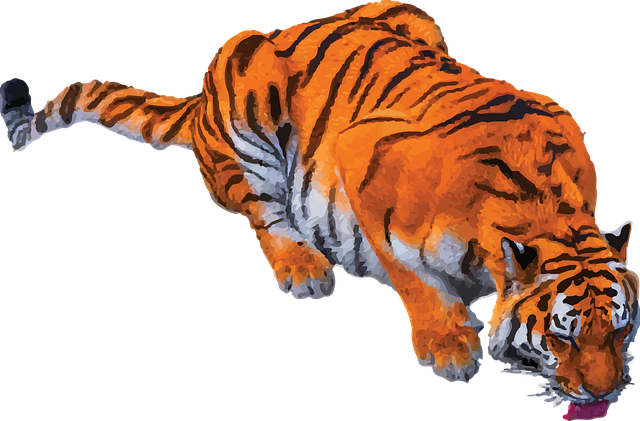 Free Tiger Drinking vector and picture