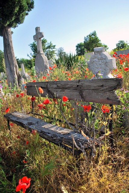 Free A Bench Graveyard photo and picture