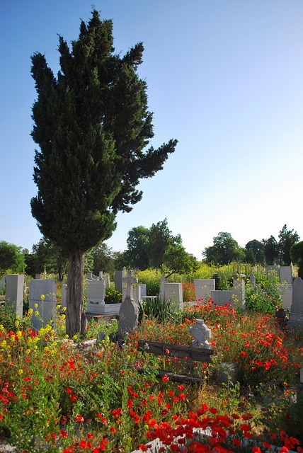 Free Graveyard Bench photo and picture