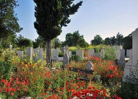 Free Graveyard Flowers photo and picture
