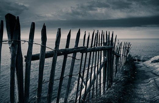 Free Fence Sea photo and picture