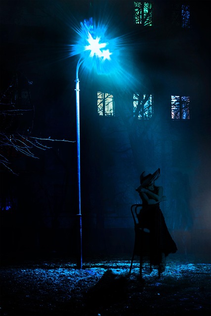 Free Nuit Femme photo and picture