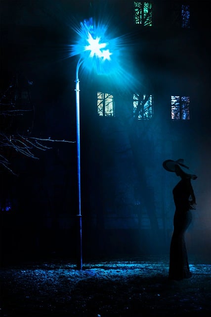 Free Nuit Femme illustration and picture