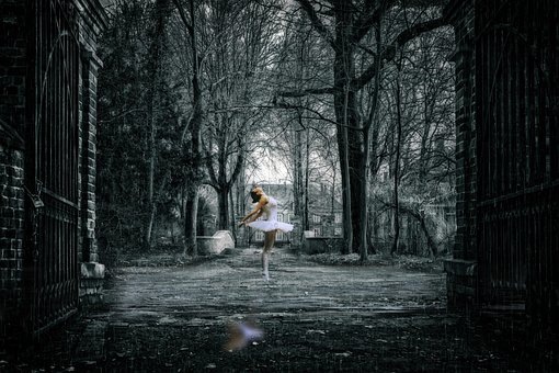 Free Danse Parc photo and picture