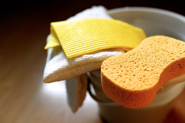 sponge, dishcloth, cleaning, cleaning tools, spring cleaning, wiping cloth, dishcloth, dishcloth, cleaning tools, cleaning tools, cleaning tools, cleaning tools, cleaning tools