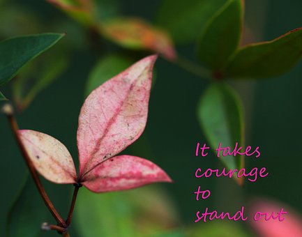 Free Courage Stand Out photo and picture