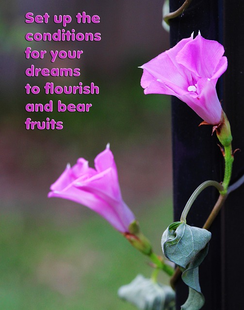 Free Motivational Dreams photo and picture